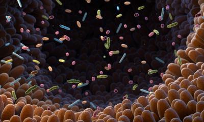 Étude : Les analyses du microbiome ne montrent pas toujours une vue d’ensemble