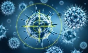 Hépatite B : le système immunitaire se bat – mais avec le frein à main serré