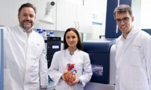 Fibrillation auriculaire : les deux oreillettes du cœur sont plus impliquées qu&rsquo;on ne le pensait auparavant