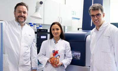 Fibrillation auriculaire : les deux oreillettes du cœur sont plus impliquées qu'on ne le pensait auparavant