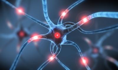 De nouvelles façons de lutter contre les douleurs nerveuses chroniques