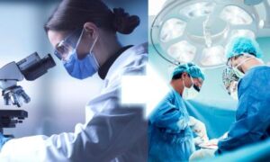 Le laboratoire rencontre la clinique : comment la traduction façonne la chirurgie de demain