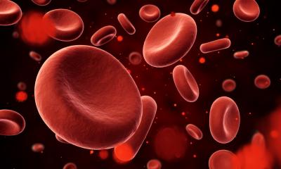 Polyglobulie vraie : le rôle du système immunitaire décrypté