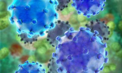 Hépatite E : les virus changent tôt