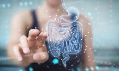 Microbiome intestinal sain : la masse compte-t-elle plutôt que la classe ?