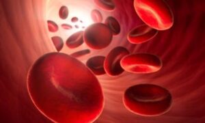 Un diagnostic précoce de l&rsquo;anémie renforce la santé des femmes