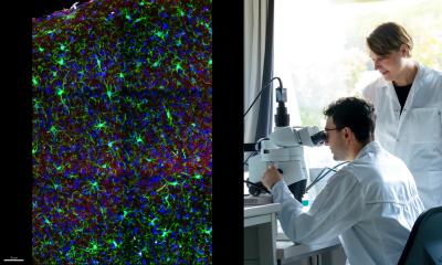 Après l'anesthésie : le cerveau des femmes récupère différemment
