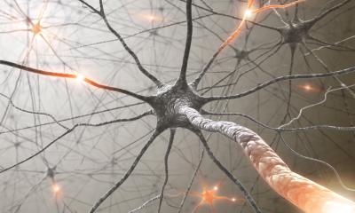 Crises d'absence dans l'épilepsie : que faire en cas de ratés dans le cerveau ?
