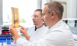 Sclérose en plaques : de nouvelles données permettent un diagnostic plus précoce
