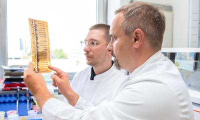 Sclérose en plaques : de nouvelles données permettent un diagnostic plus précoce