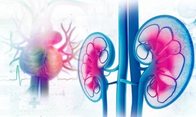 Diagnostic de la maladie rénale chronique : pensez toujours ensemble aux reins et au cœur
