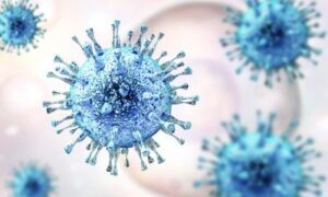 Après une crise cardiaque : une infection virale antérieure peut interférer avec la guérison