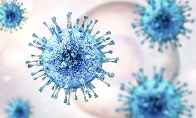 Après une crise cardiaque : une infection virale antérieure peut interférer avec la guérison