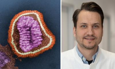L'hémoglobine comme aide dans la lutte contre les virus de la grippe